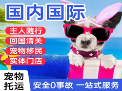 上饶三清山空运公司国际宠物托运 【国